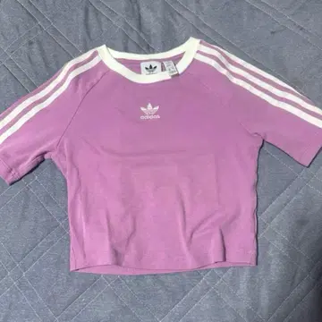 adidas Originals 크롭 T셔츠 핑크