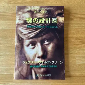 영혼의 설계도 진화 점성술 제프리 울프 그린