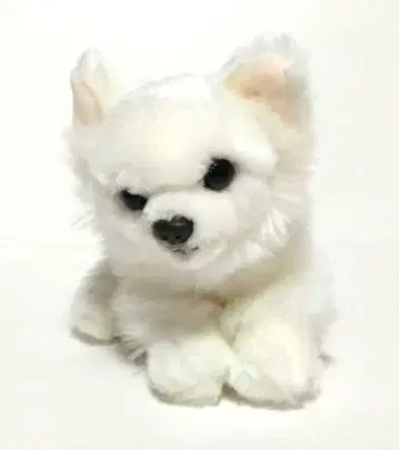 [ 세일 중 ] REGALO 레가로 리얼 도그 치와와 강아지 봉제 인형