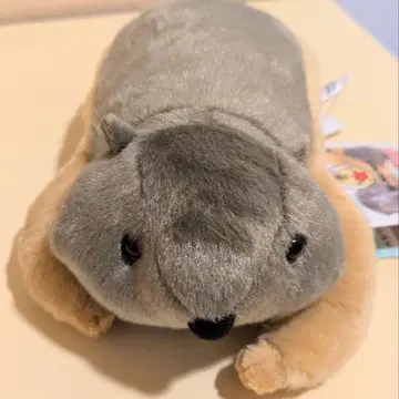 AMUFUN Dr.Marmot 봉제 인형 오모치