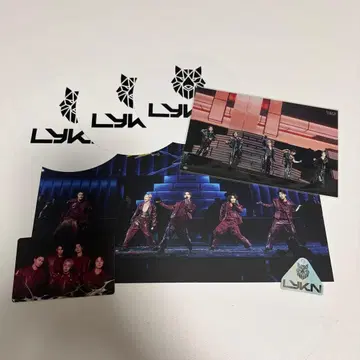 GMM 라이저 콘서트 DVD 특전 LYKN 세트