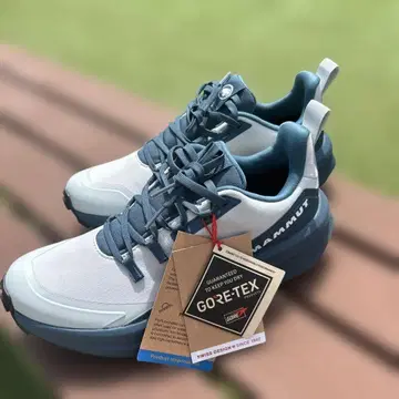 MAMMUT Aenergy Hike low GTX 여성용