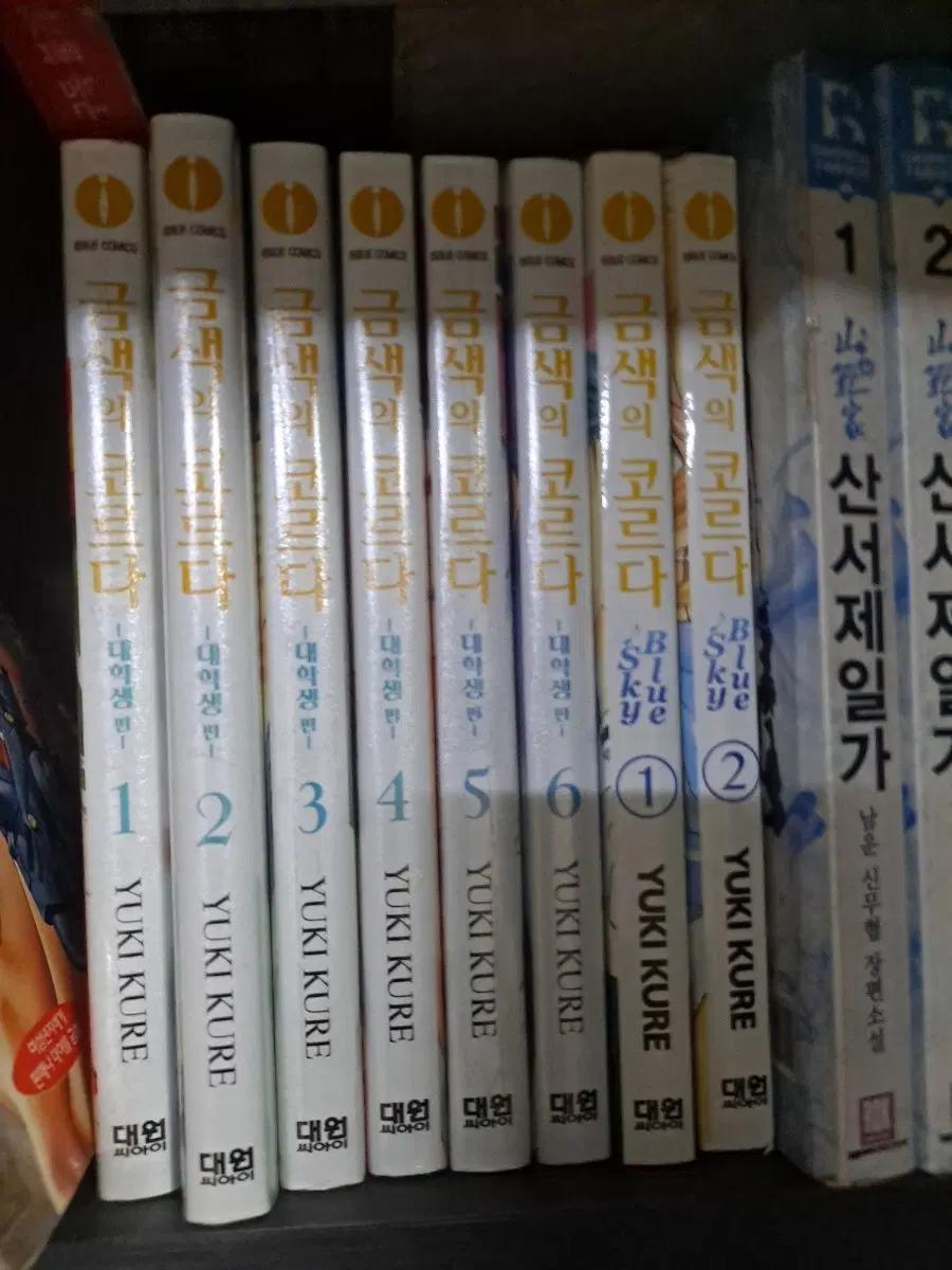 금색의 코르다 대학생 1-6 중고만화책 안전프로상점매장