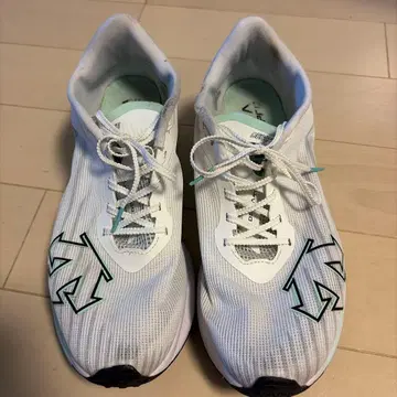 DESCENTE DELTA PRO 러닝화