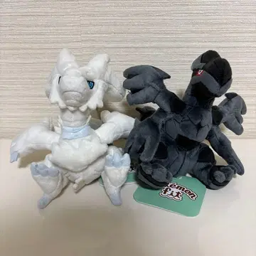 포켓몬 fit 제크로무, 레시라무