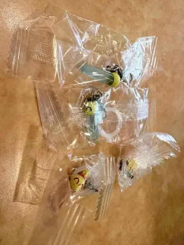 냑키 메지루시 액세서리 인기 완판템 가챠 니코리 핑크짱