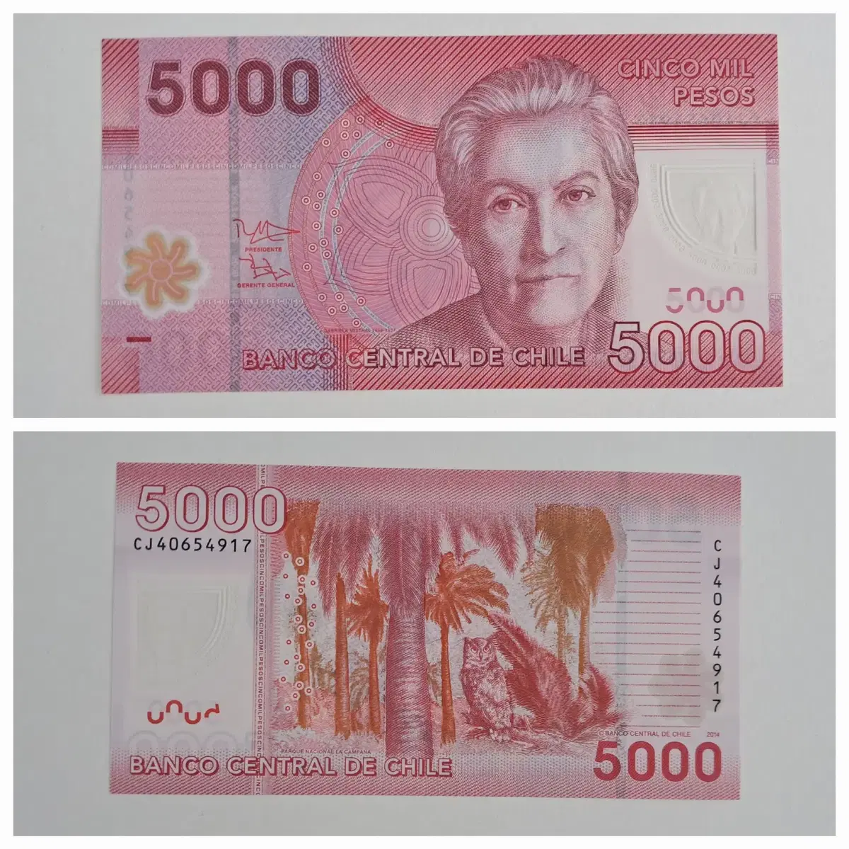 칠레 화폐