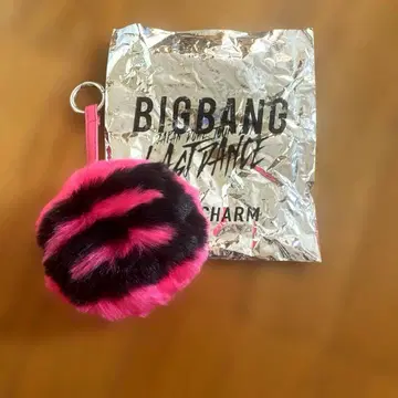 BIGBANG G-DRAGON 퍼 참