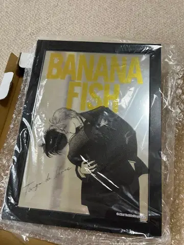 BANANA FISH 포토 거울 바나나 피쉬 로손