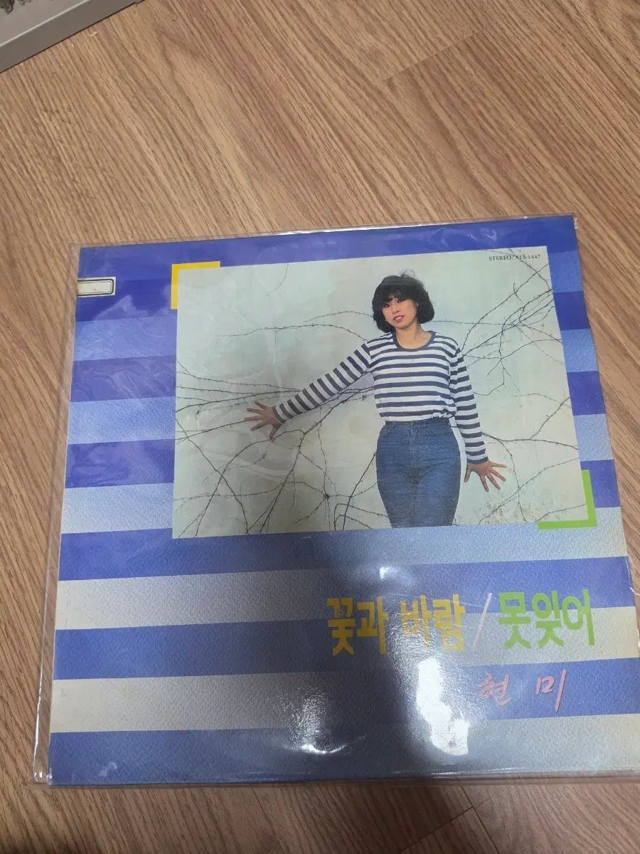 김현미 꽃과 바람/못 잊어 LP