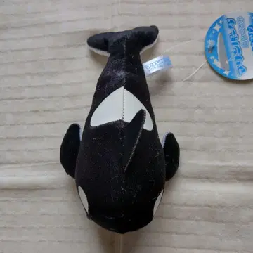 마린파크 봉제 인형 범고래