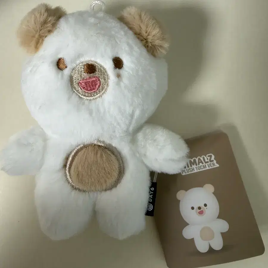 데이식스 쁘띠멀즈 돈