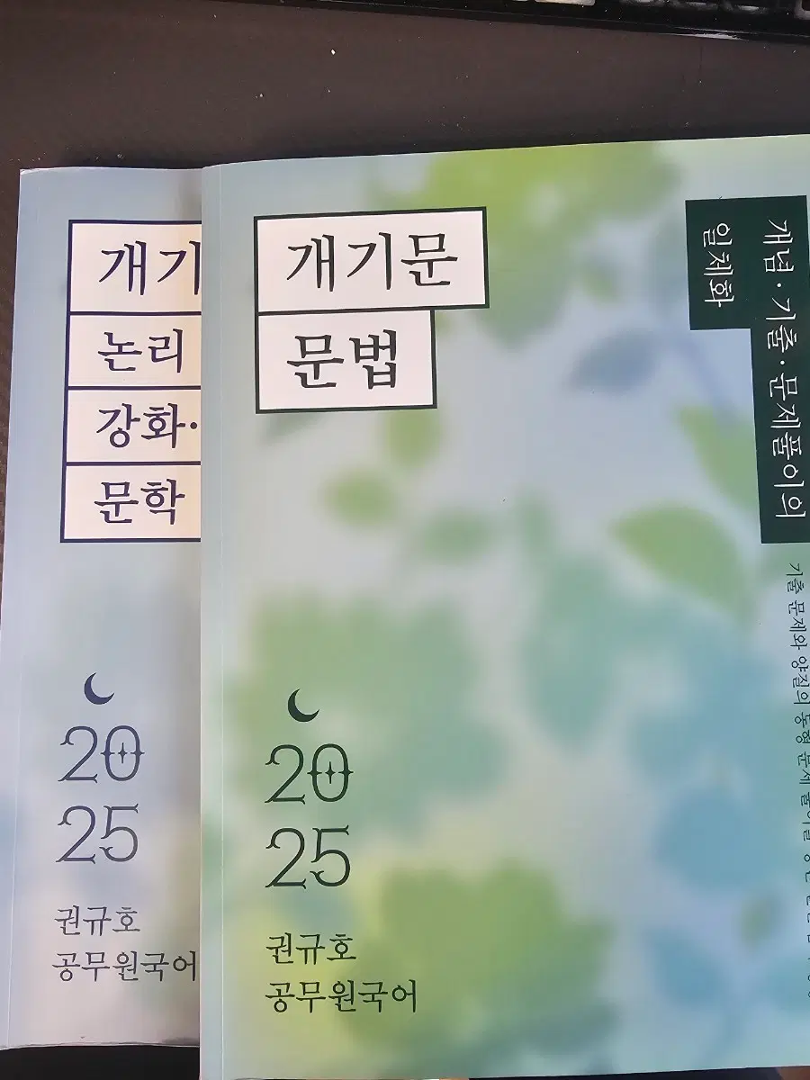 권규호 공무원국어 개기문 2025 문법/논리