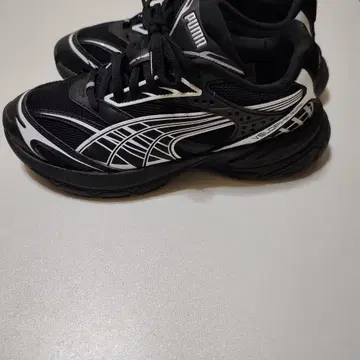 벨로파시스 푸마 puma