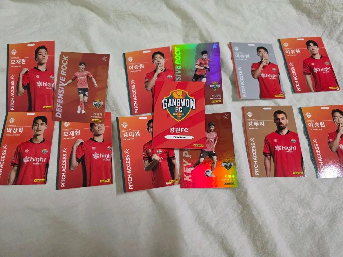 강원FC 파니니 축구 카드 일괄