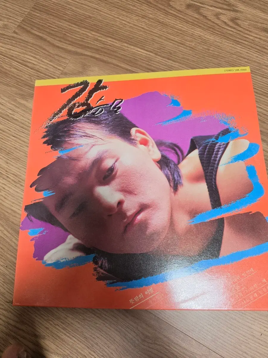 강승모 LP