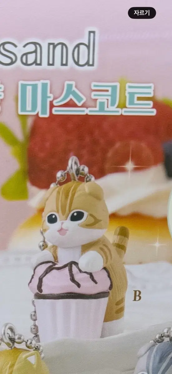 모프샌드 컵케이크냥