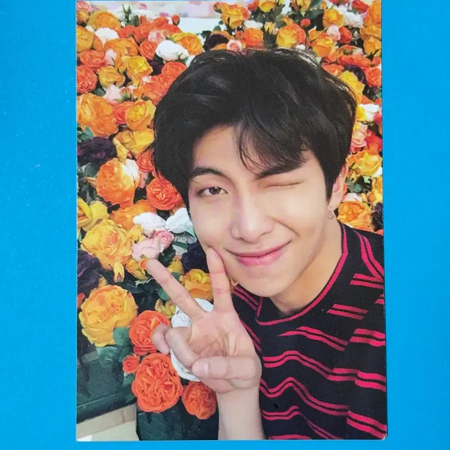 BTS 방탄 rm 남준 일본 럽셀 여권 포카