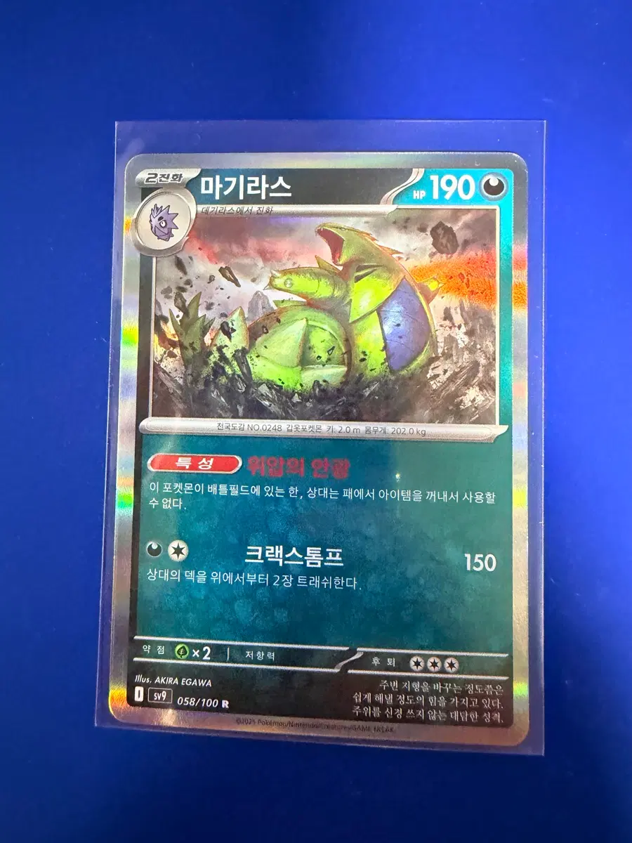 포켓몬카드 마기라스 홀로 카드