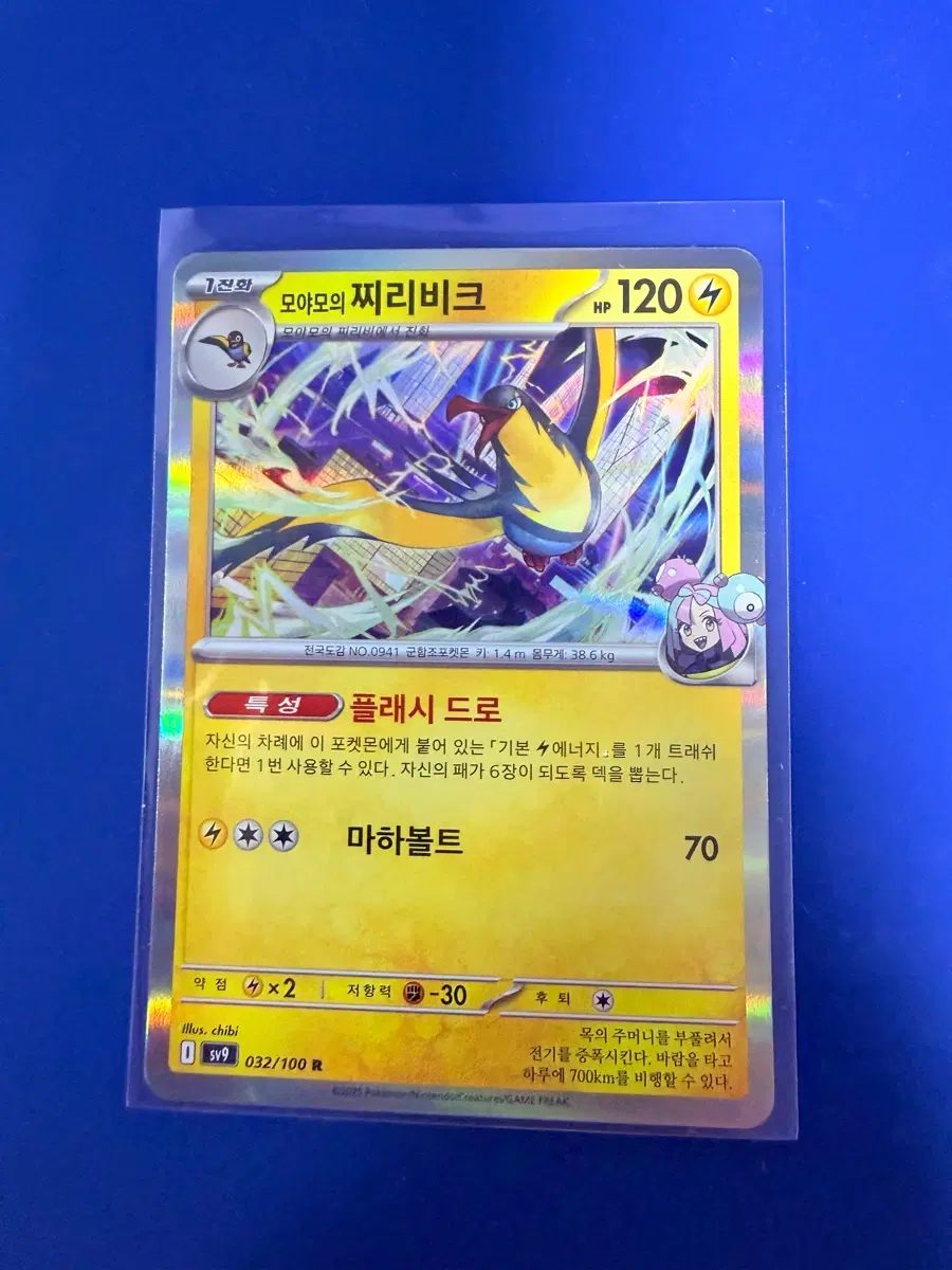 포켓몬카드 찌리비크 홀로 카드