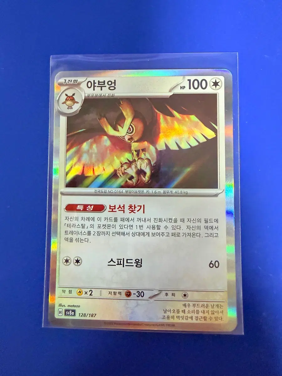 포켓몬카드 야부엉 홀로 카드