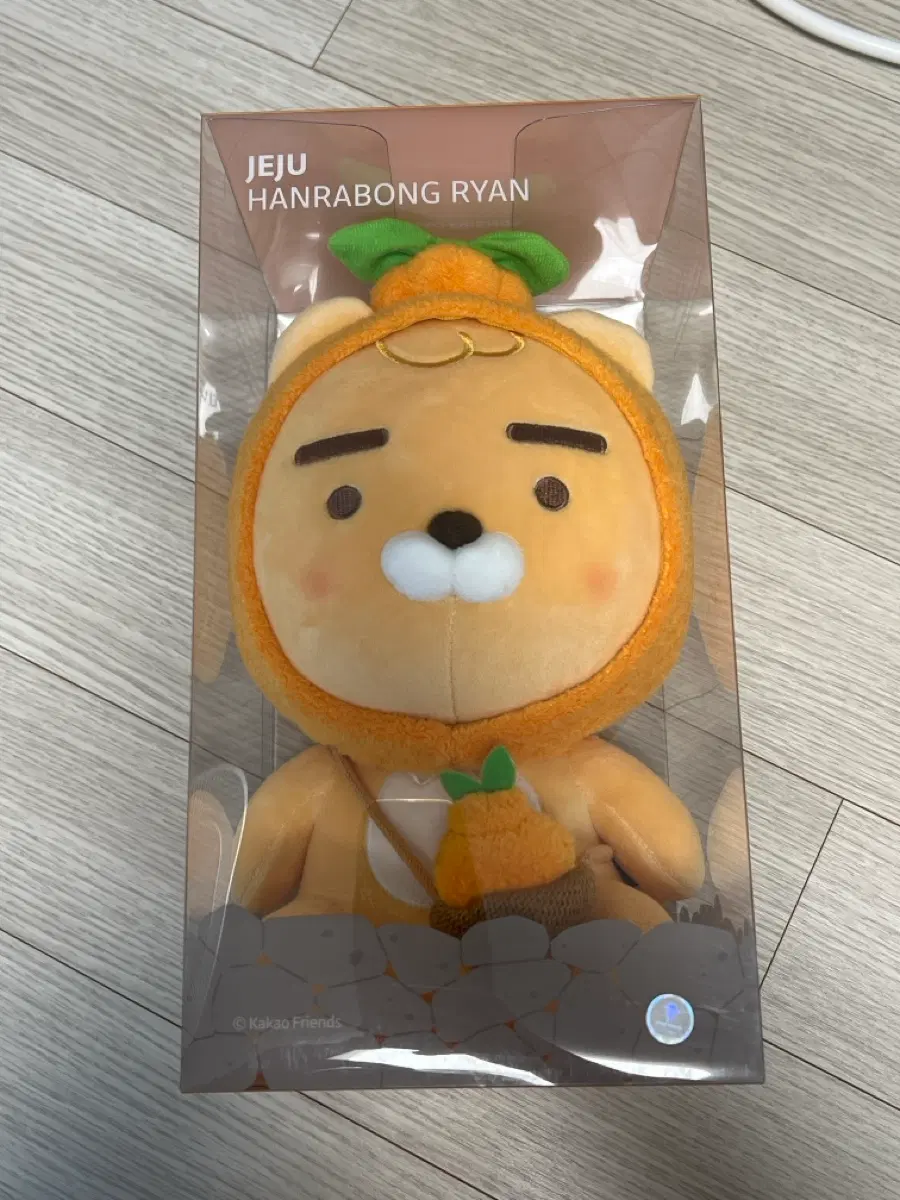 제주 한라봉라이언