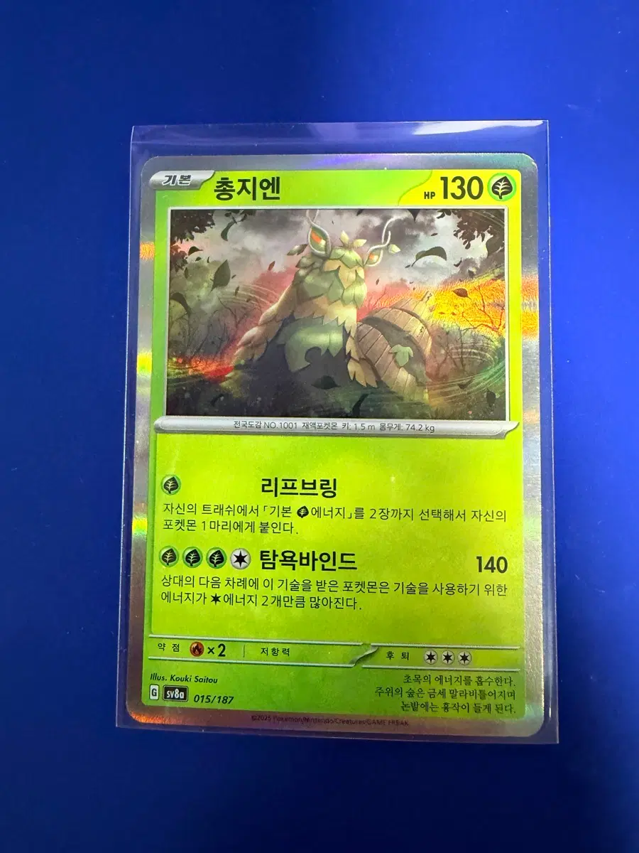 포켓몬카드 총지엔 홀로 카드