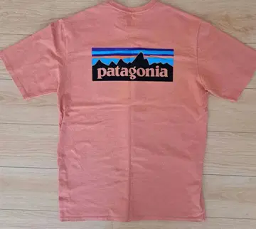 patagonia P6 로고 포켓 레스폰서빌리티 티셔츠 38512