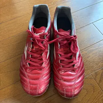 MIZUNO 모나르시다 네오 프로