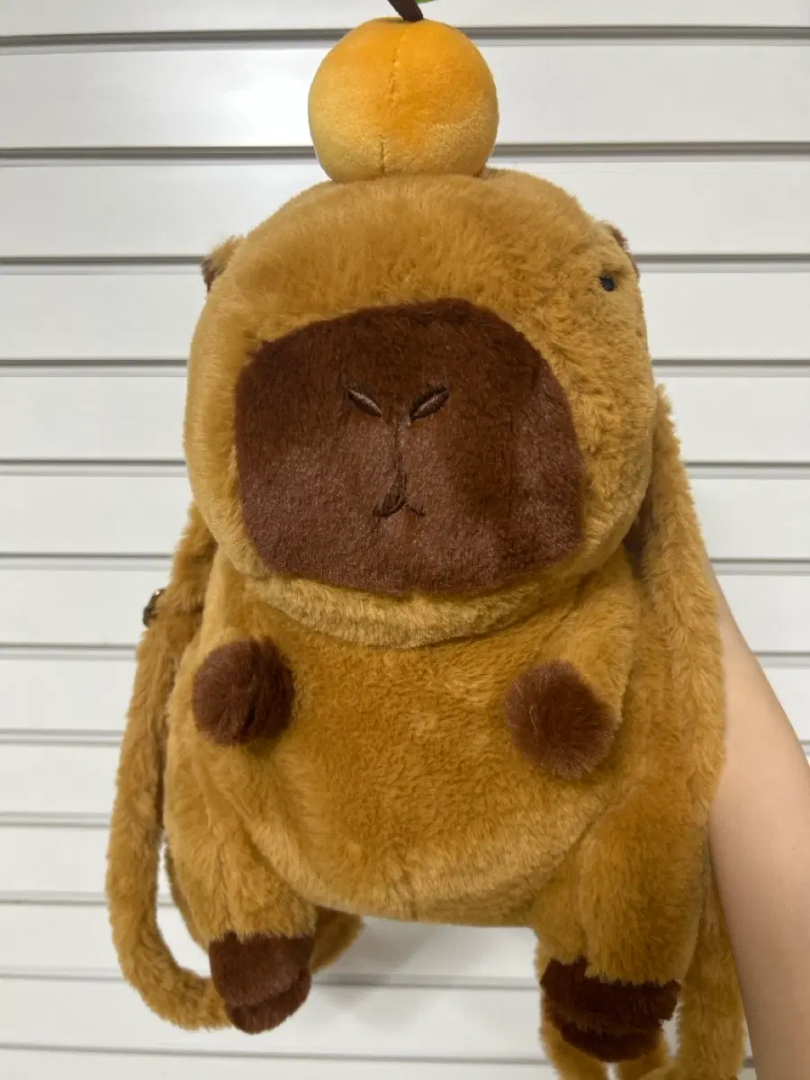 카피바라 가방 + 인형