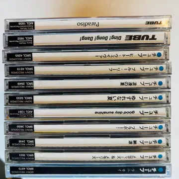 TUBE CD 앨범 11장 세트 묶음 판매 오비 다수 포함