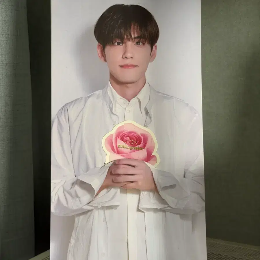 데이식스 원필 Scentographer 공식MD 포토베너