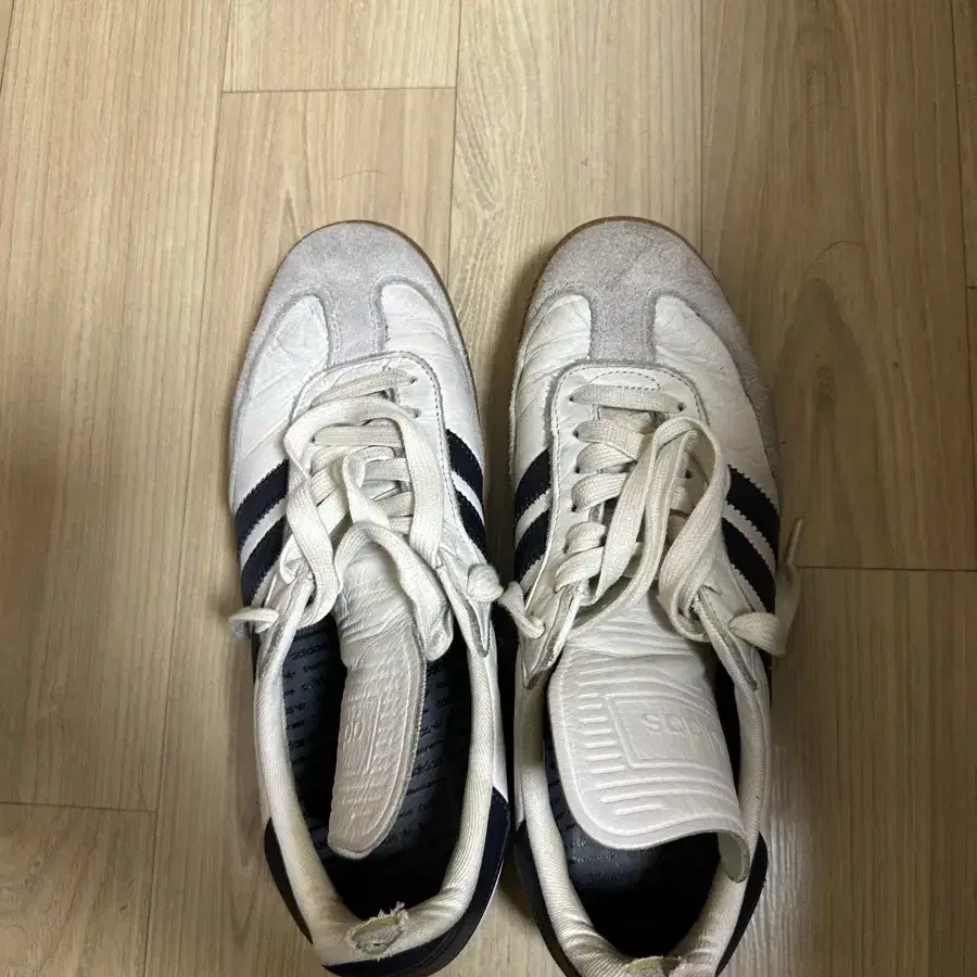 아디다스 휴먼레이스 삼바 280