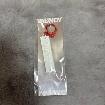 [미개봉] VAUNDY replica 키링