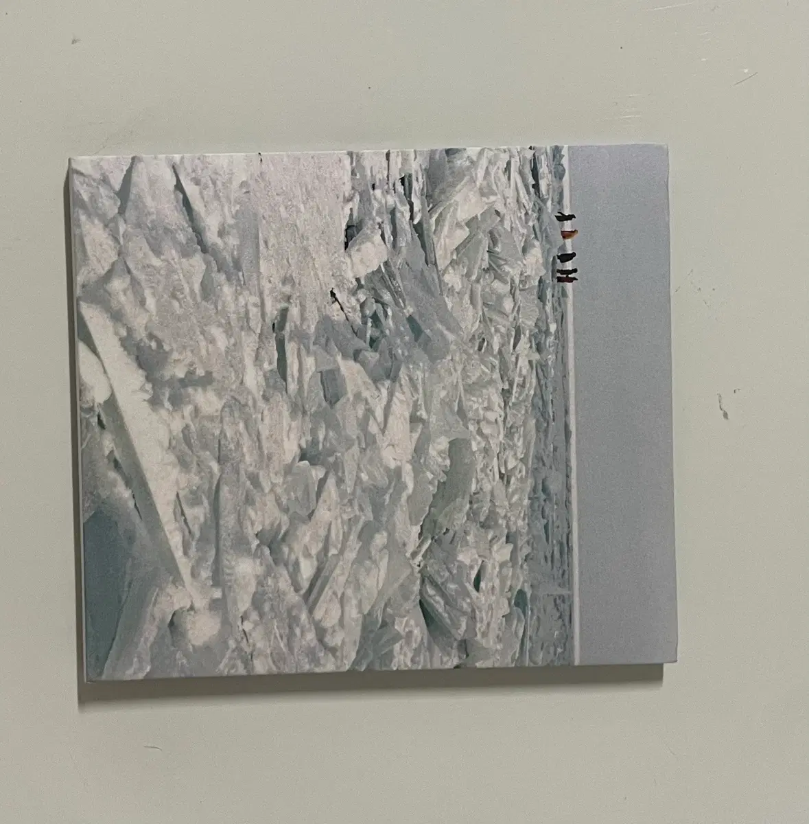 강아솔 LP/CD