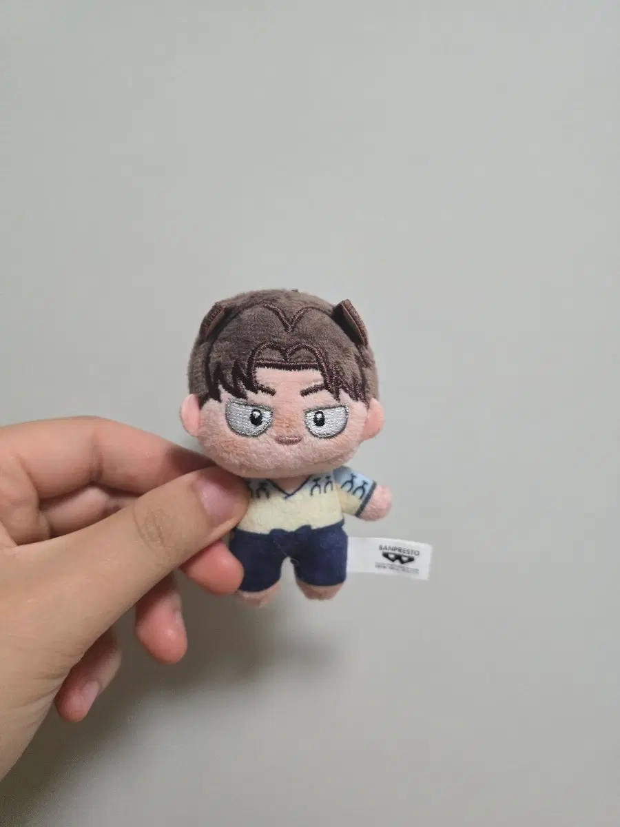 닌타마 사복 호와누이 리키치