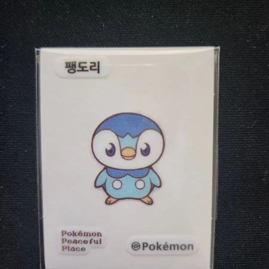 포켓몬 포켓피스 팽도리 띠부씰