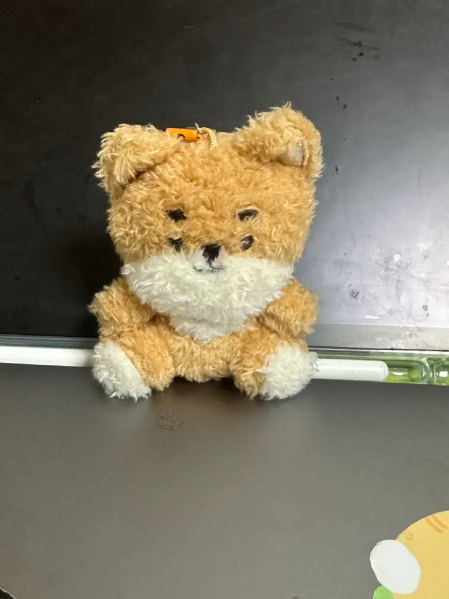 데이식스 영케이 앉은케 인형