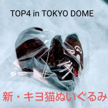 TOKYO DOME TOP4 신 키요 고양이 봉제 인형 키요 키요 고양이