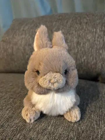 토끼 봉제 인형 브라운