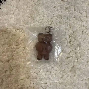 다이스케 콘도 메지루시 액세서리 곰
