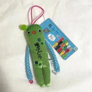 오키나와 한정판 모케케 바다포도