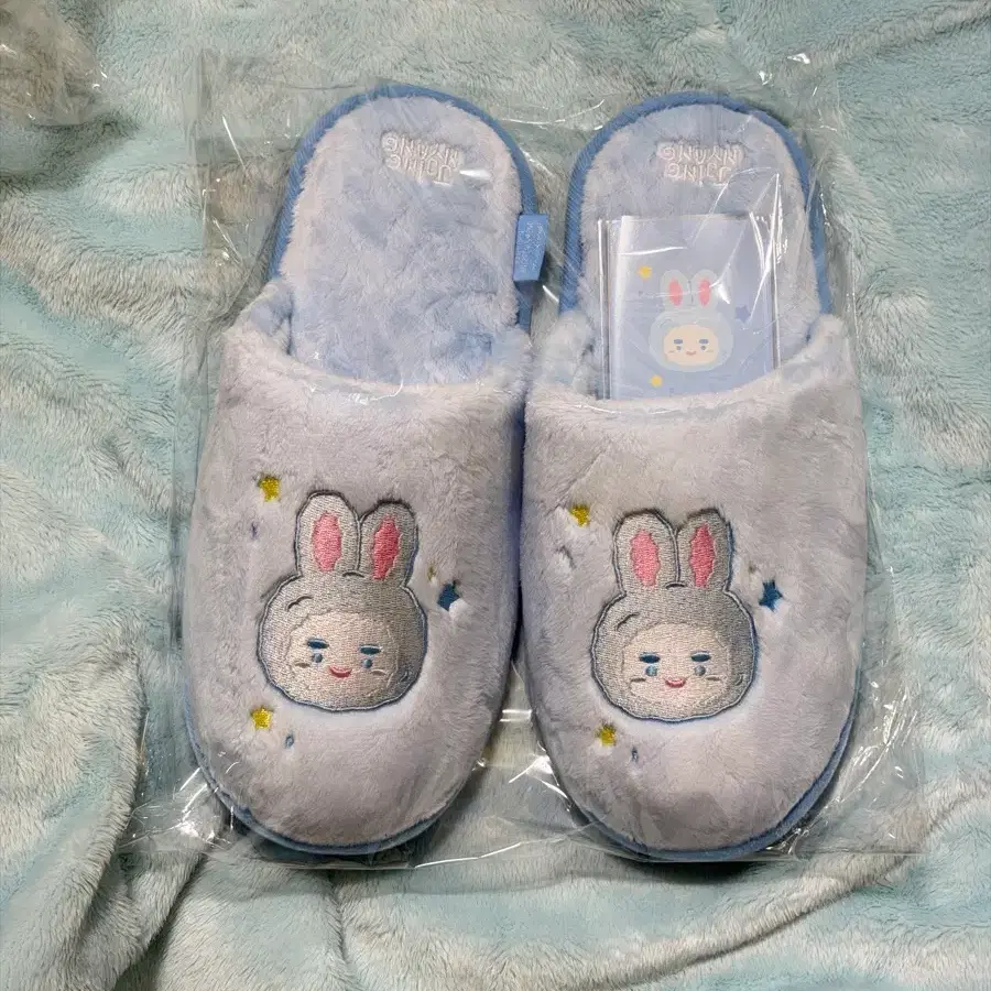 (택포) 찡냥이 룸슈즈 온유 팝업