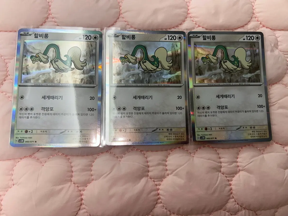 할비롱 포켓몬 카드 3장