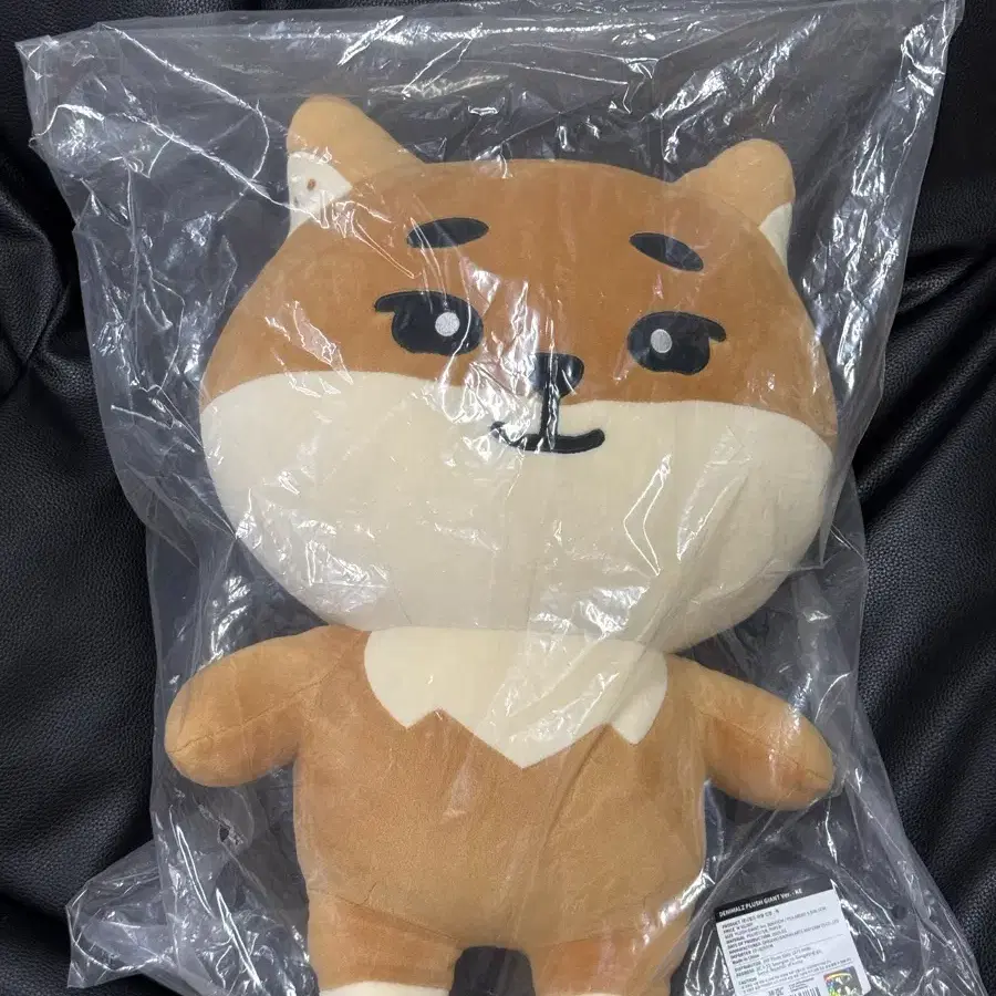 자이언트 데니멀즈 케 포카포함 영케이 데이식스