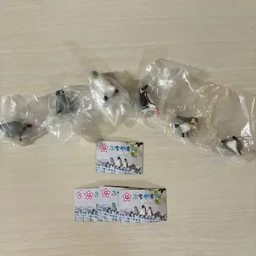 후치야스미 펭귄 전 5종 컴프 세트
