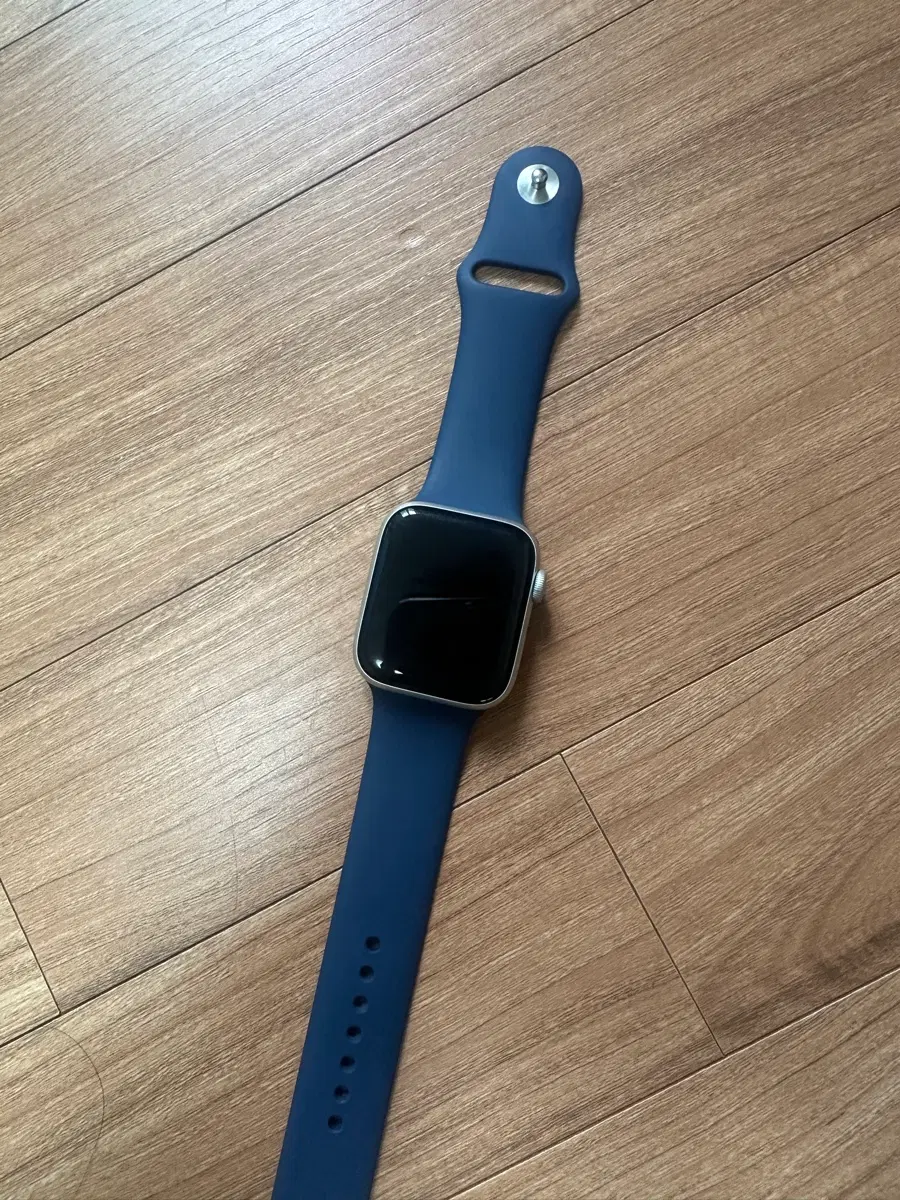 애플워치 se 44mm 실버 배터리성능 100%
