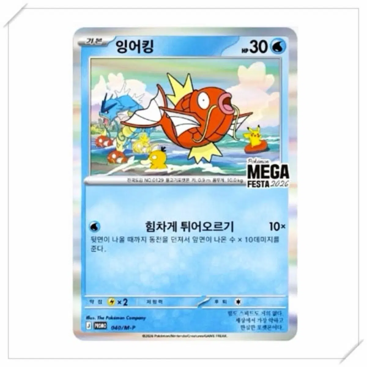 잉어킹 프로모카드