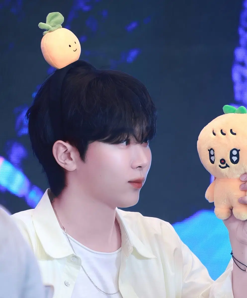 세븐틴 랜박(3배