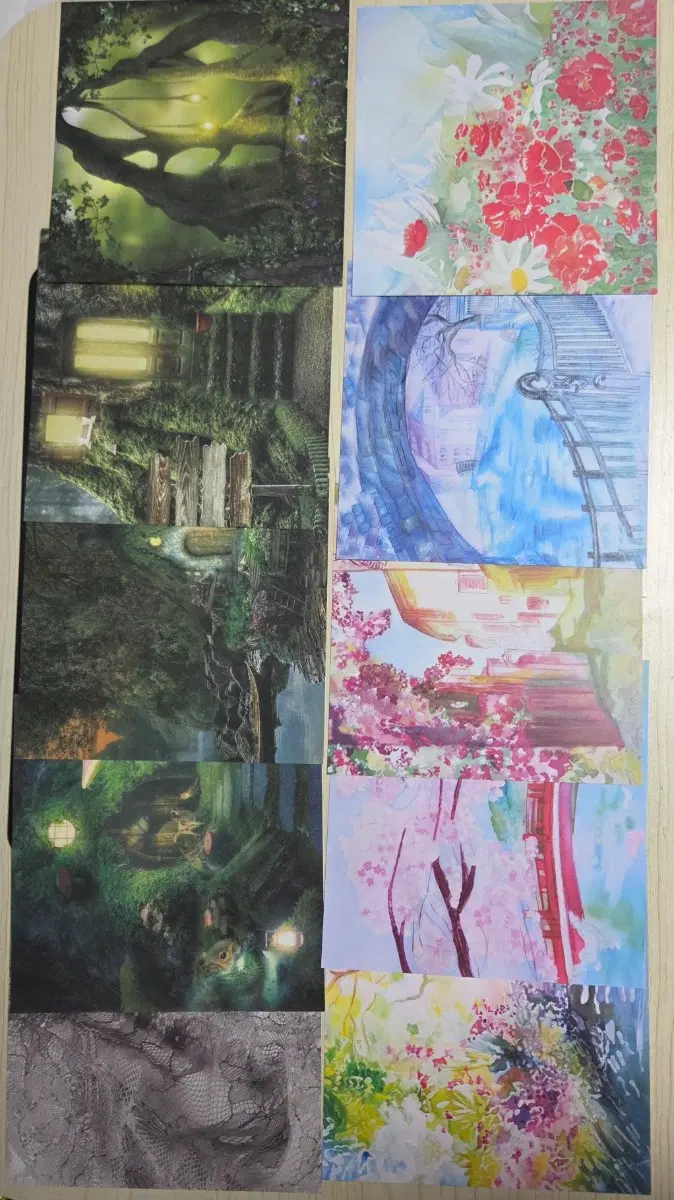 배경지 종이 무중복 40장+덤